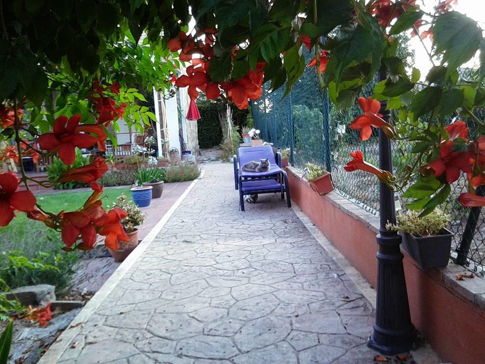 Boulevard Los Poetas Holiday home San Mateo de Gallego